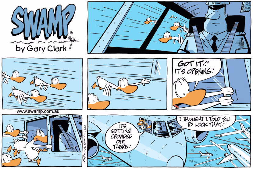 Flying in the sky Aviator Ducks are approaching the cockpit of passing jet and manage to get the window open and enter the aircraft. Swamp Cartoon - Approaching the CockpitSeptember 24, 2023